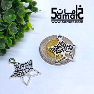 2 دلايه نجمه داخلها شجره فضي