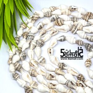 فرع طويل دبل  حبات صدف وقواقع بحر طبيعيه. طول الفرع – في حدود 80 سم مجوز- طبيعي قابل للكسر