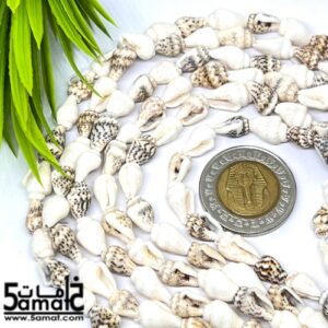 فرع طويل دبل  حبات صدف وقواقع بحر طبيعيه. طول الفرع – في حدود 80 سم مجوز- طبيعي قابل للكسر