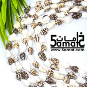 فرع طويل دبل  حبات صدف وقواقع بحر طبيعيه. طول الفرع – في حدود 80 سم مجوز- طبيعي قابل للكسر