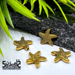 4 فاصل نجمه بحر منقطه ذهبي