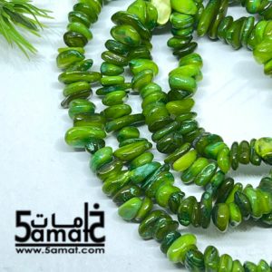 فرع كسر صدف دبل أخضر أخضر زاهي