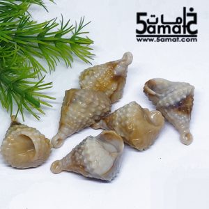 خرز أكريلك ودع ملفوف – 20 جرام