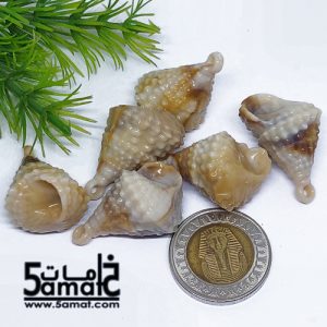 خرز أكريلك ودع ملفوف – 20 جرام