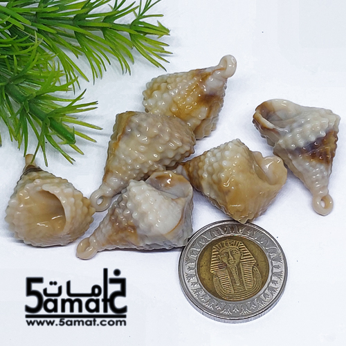 خرز أكريلك ودع ملفوف - 20 جرام - الصورة 2