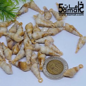 خرز أكريلك  ودع ملفوف صغير- 20 جرام