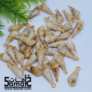 خرز أكريلك  ودع ملفوف صغير- 20 جرام