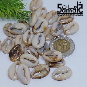 خرز أكريلك صدف بحر – 20 جرام