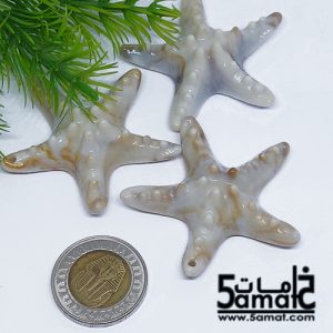3 نجوم بحر خرز أكريلك