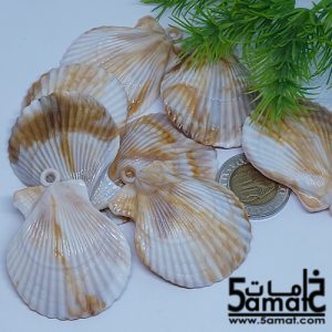 خرز أكريلك صدف بحر ضخم- 20 جرام