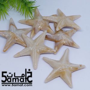 6 نجم بحر خرز أكريلك