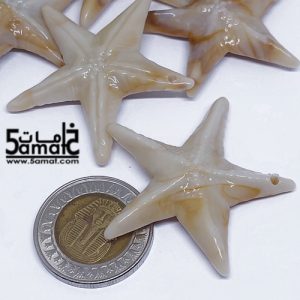 6 نجم بحر خرز أكريلك