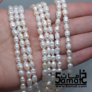 فرع لولي مزارع II – طول الفرع من 32 ل 33 سم