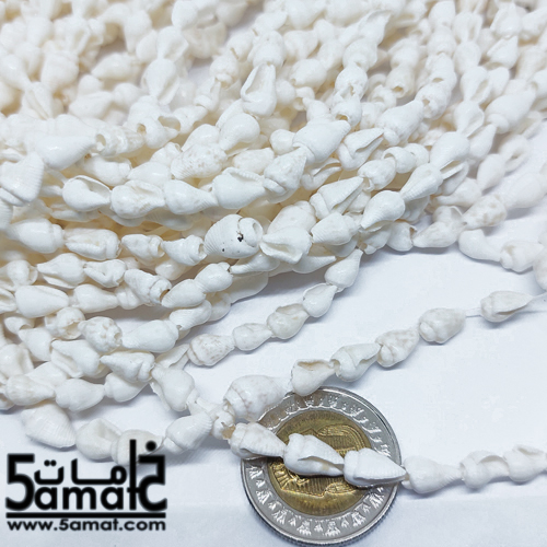 فرع طويل دبل حبات صدف وقواقع بحر طبيعيه صغيره - طول الفرع - في حدود 80 سم مجوز- طبيعي قابل للكسر - الصورة 2