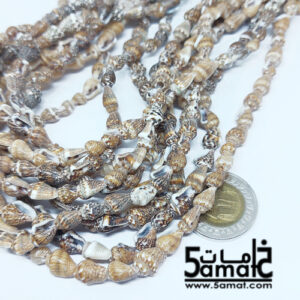 فرع طويل دبل  حبات صدف وقواقع بحر طبيعيه. طول الفرع – في حدود 80 سم مجوز- طبيعي قابل للكسر