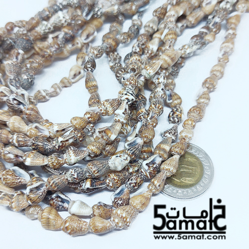 فرع طويل دبل حبات صدف وقواقع بحر طبيعيه. طول الفرع - في حدود 80 سم مجوز- طبيعي قابل للكسر - الصورة 2