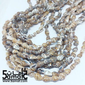 فرع طويل دبل  حبات صدف وقواقع بحر طبيعيه. طول الفرع – في حدود 80 سم مجوز- طبيعي قابل للكسر