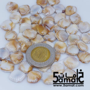 خرز بلاستيك – صدف بحر صغير – 20 جرام – الكميه موضحه في الصوره